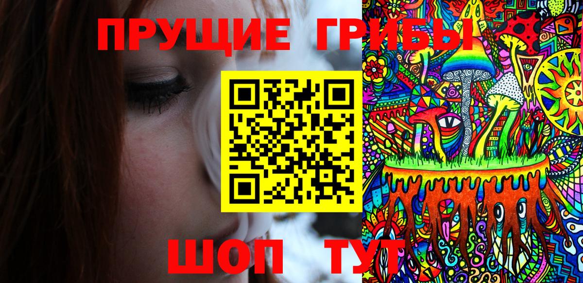 Псилоцибиновые грибы мухоморы  дарнет шоп  Славгород  Вход с VPN 